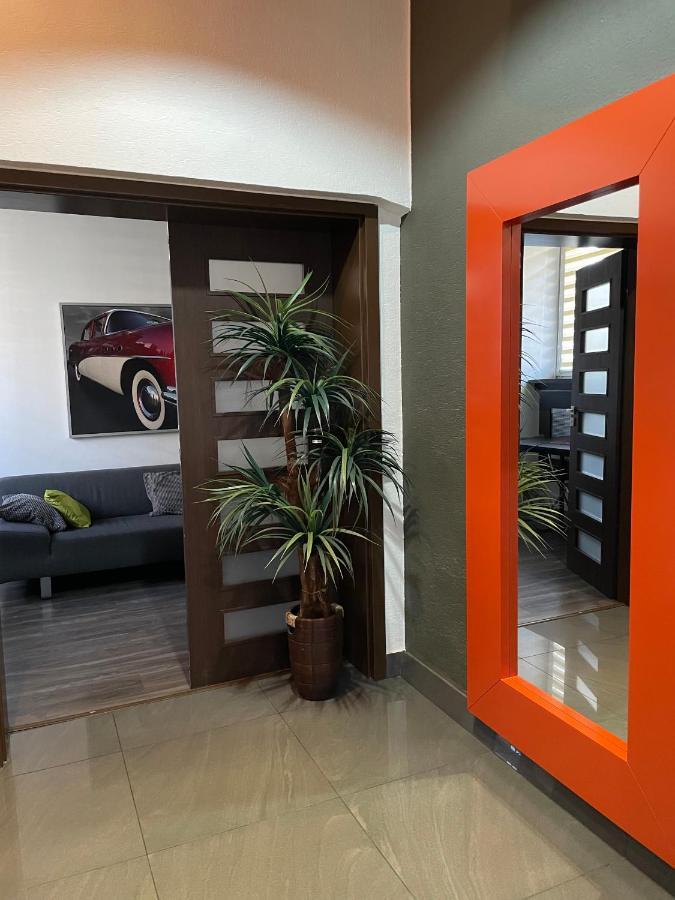 Apartament Jagiellonska Сосновец Экстерьер фото